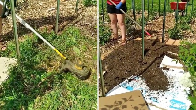 "I have had the best garden since."