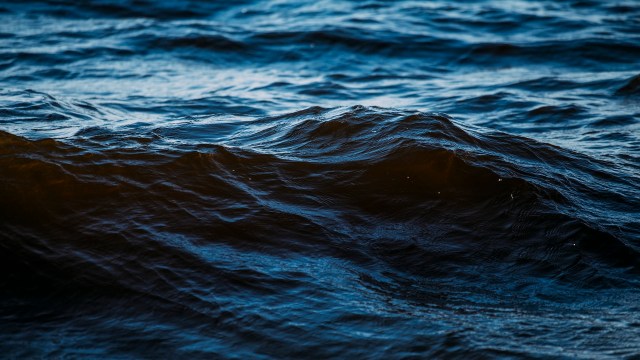 "Helping to safeguard communities and ecosystems."