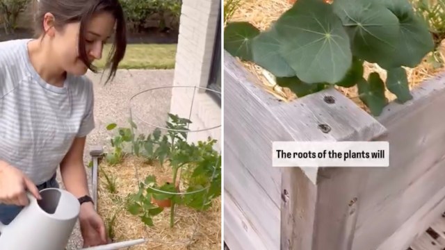 Once you try it, you won't want to go back to watering the old way.