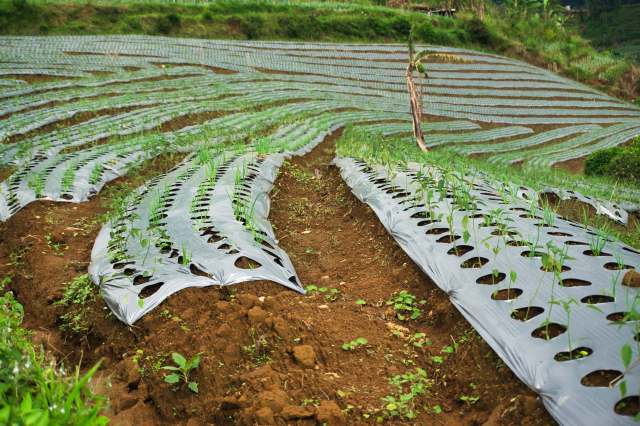 "Definitely something to be keeping a close eye on."