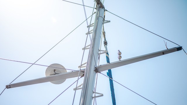 Animal rescues aren't always straightforward and often involve accessing hard-to-reach places.