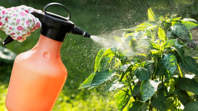 "Marks the end of a long era."