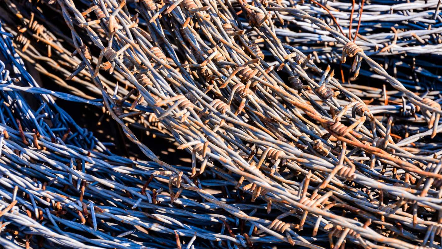 "This accomplishment confirms that our platform is not just theoretically scalable."