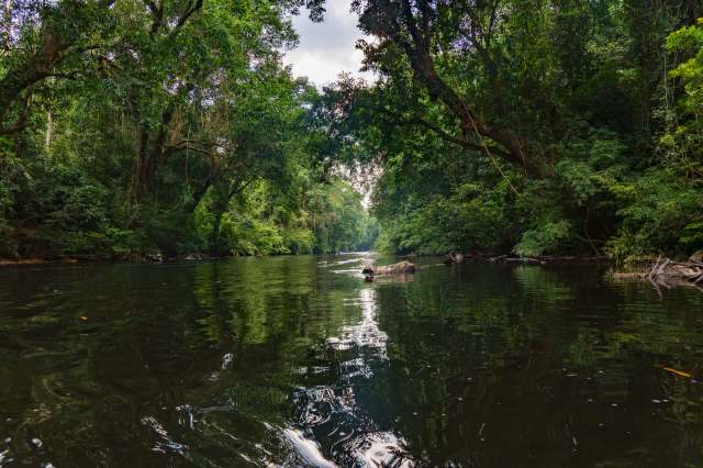 "We're working closely with the local fishing community to find practical solutions."