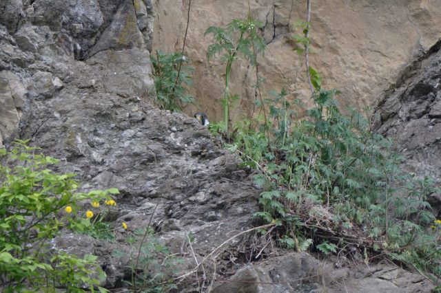 "Never been more successful in this country since the Middle Ages."