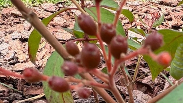 "Such a cool process."