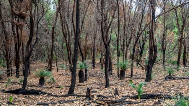 "The more we can learn about this pest, the better equipped we will be."