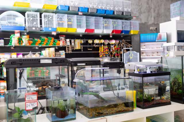 "Just keep taking good care of your pet and never release it into the wild."