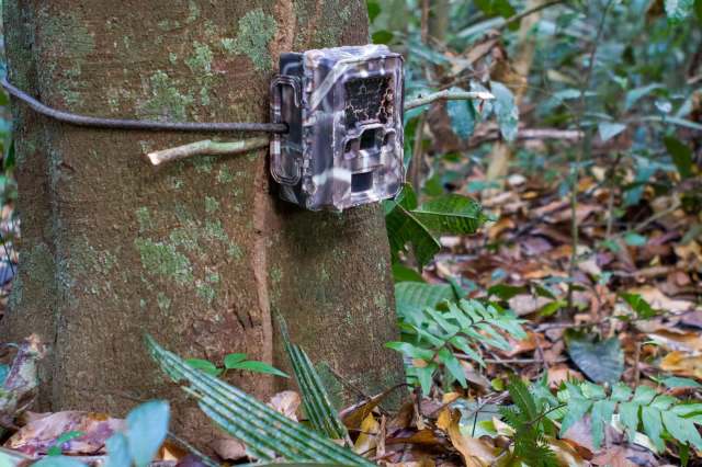 "You search for one thing and end up finding something else, which sometimes turns out to be even more interesting."