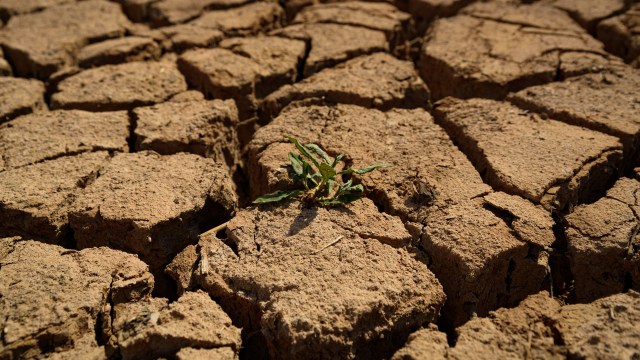 "Food prices are already rising daily."
