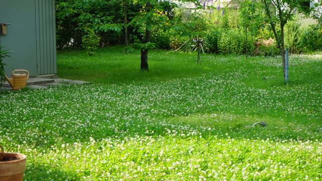 "Now they just keep falling into my property."