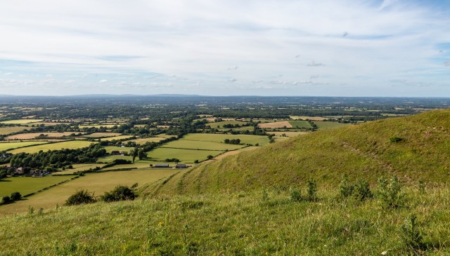 "Clouds of butterflies everywhere."