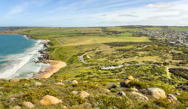 "These three populations are showing various responses."