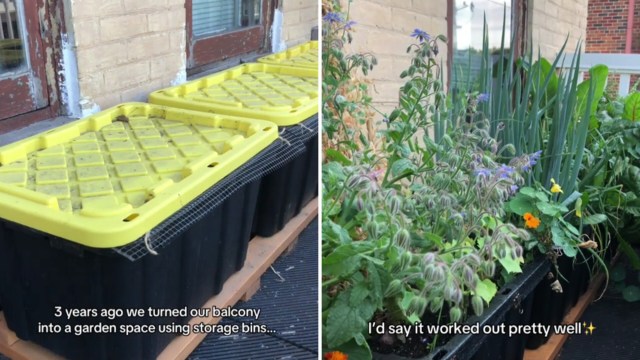 Viewers flooded the comments with love.