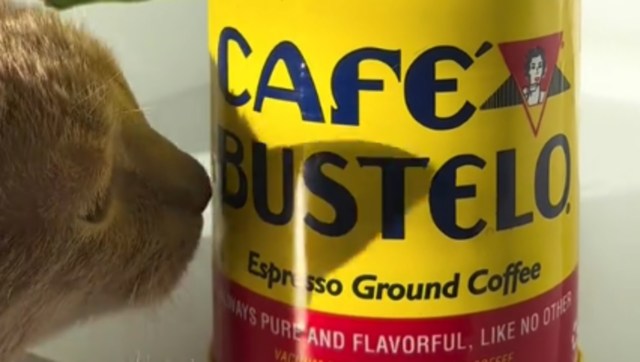 The hack received dozens of positive comments.