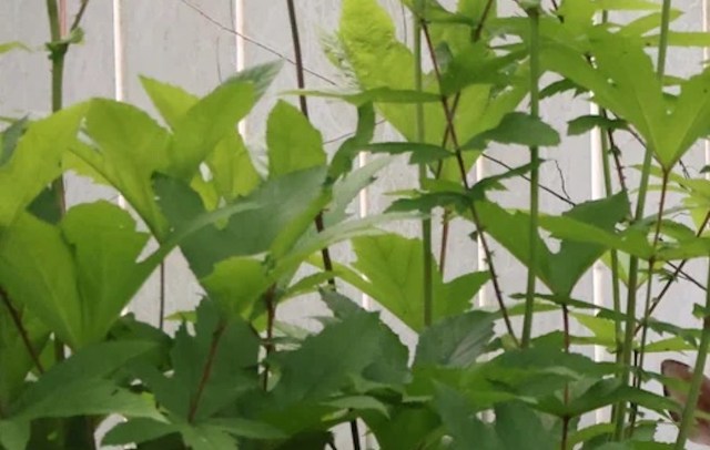 Redditors flooded the post with appreciation.