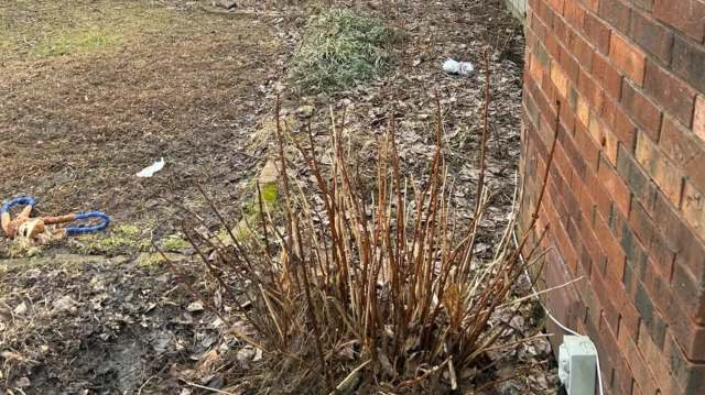 "I love this transformation every year."