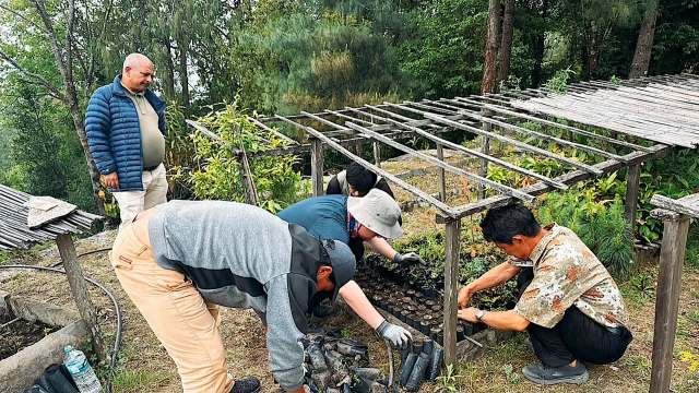 The initial results were promising.