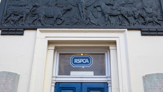 "I'm very grateful to the member of the public who reported this to us."