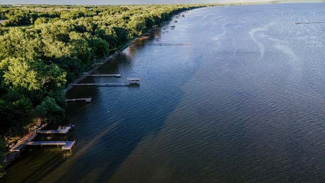 Once established the fish are nearly impossible to eliminate.