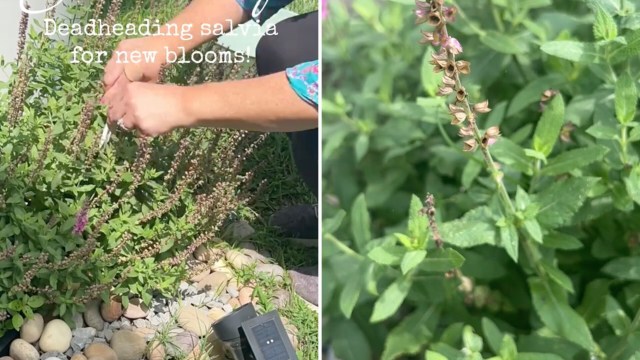 "I'm a huge believer."