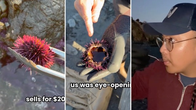 "What an incredible experience."