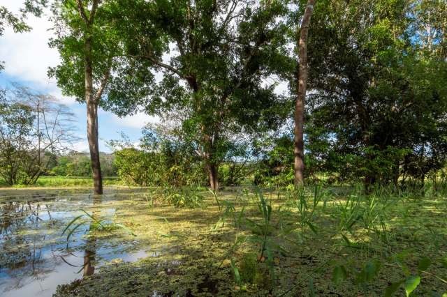 Healthy oceans aren't just about fish; they're about people, too.