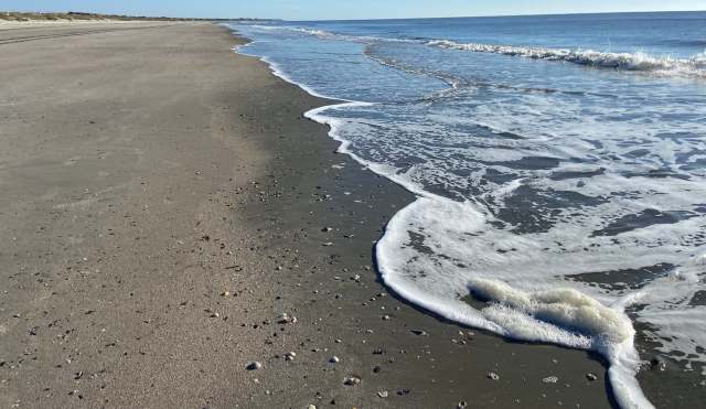 "We see a benefit to that but it's trying to make sure we weigh everybody's rights, everybody's safety."