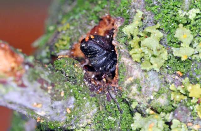 "We don’t know how this will all end up looking in the end."