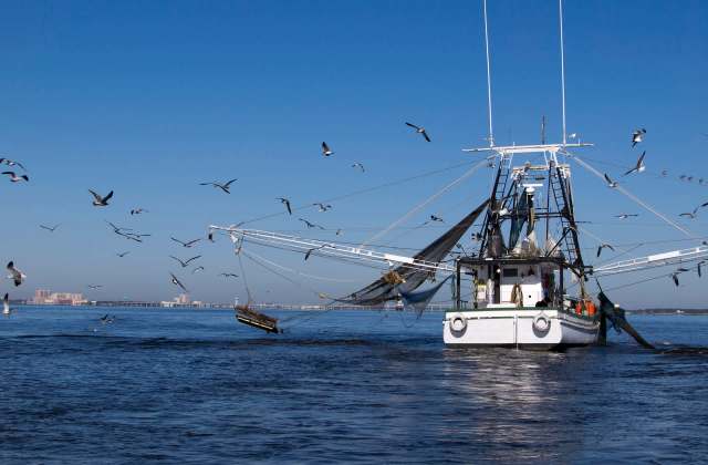 The legislation could be taken up again in the future.