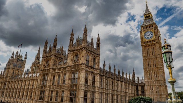 Because they're brightly colored and often small, they also pose a risk to animals.