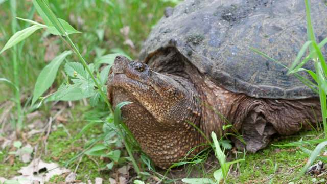 "Rapid responses, for example policy changes, are needed."