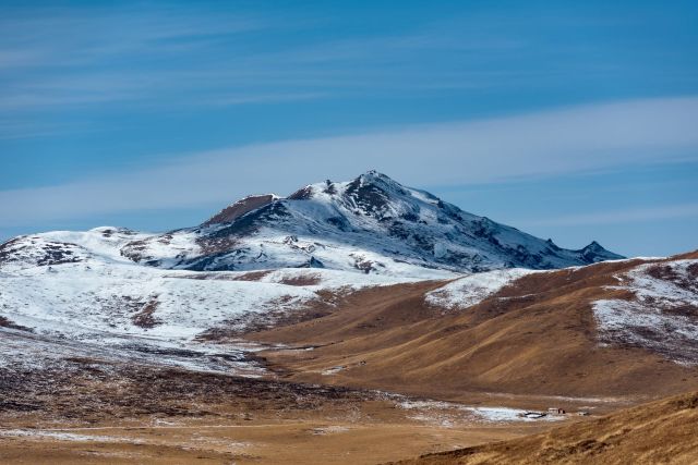 Trail cameras are a crucial tool for preservation efforts in the wild.