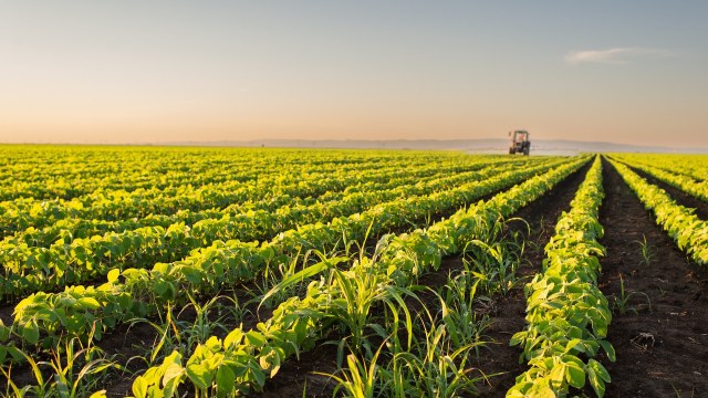 "May far exceed what is presented by the authors."