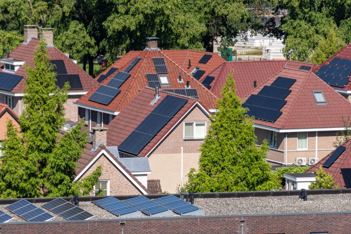 "Wondering what the future holds."