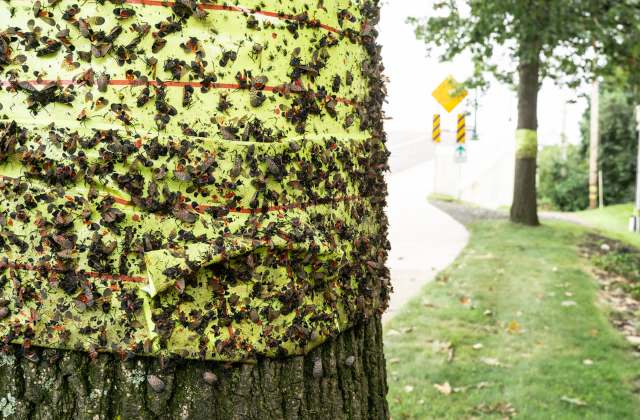 "They're going to sprout up."