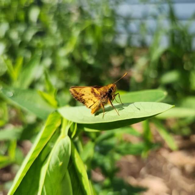 "Thanks for giving them a place to live."