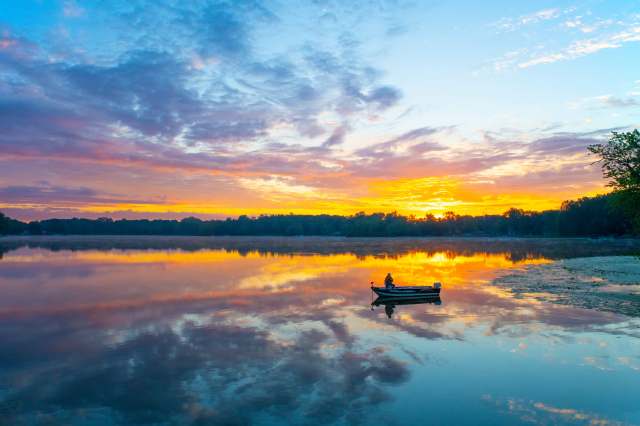 "In every lake where it exists, there has been a reduction in native plants."