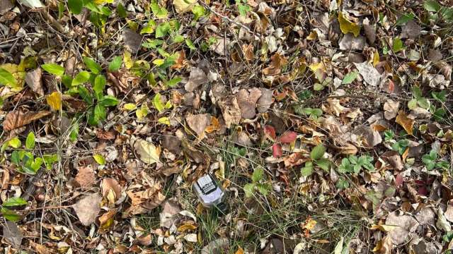 "You're a real hero for picking it up."