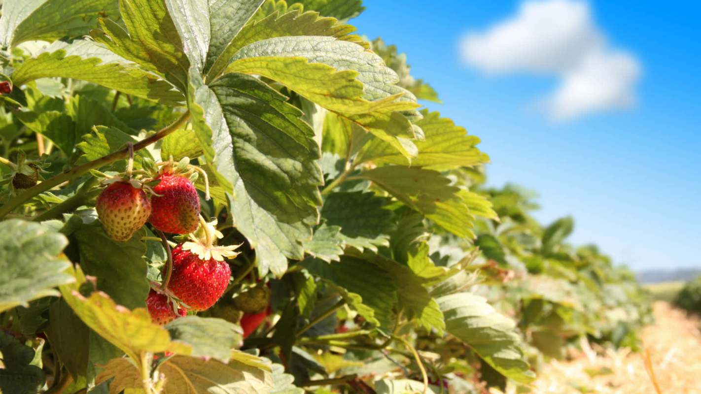 "Enabling faster, more cost-effective robotics innovation."