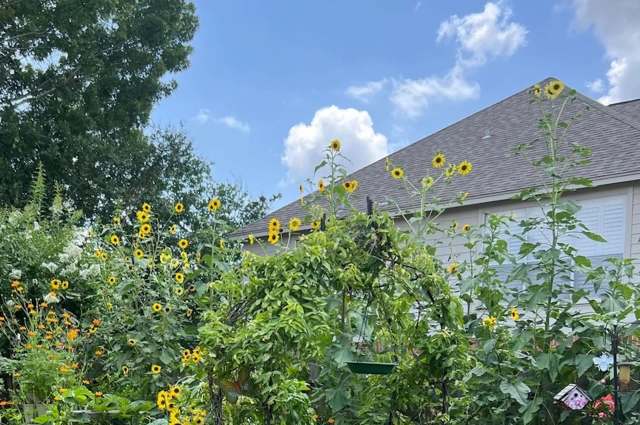 "I've never understood HOAs."