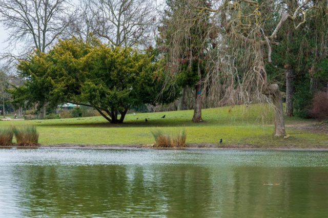 "This isn't the first incident."