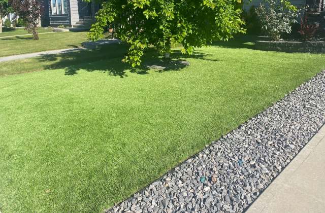 It's harmful in many ways.