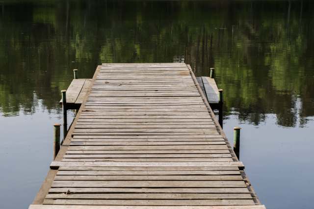 "Not very nice pics but didn't know where else to report."