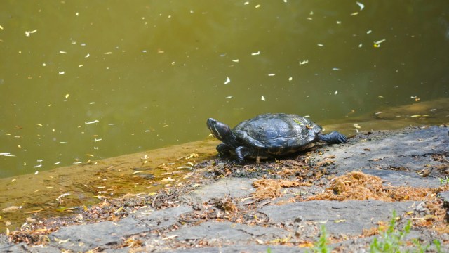 "When I was little I was made fun of sometimes."