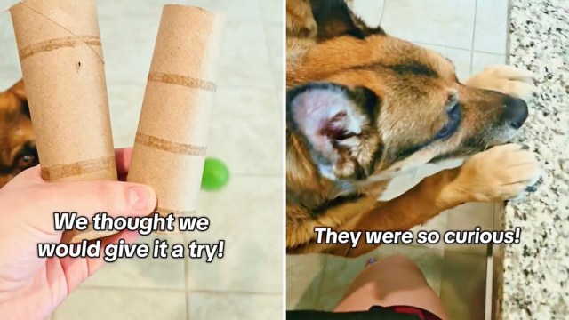 "Oh, that's a great idea."