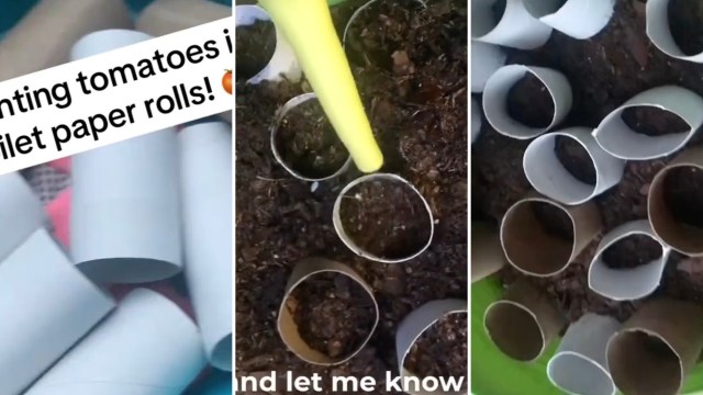 "I’m going to try it."