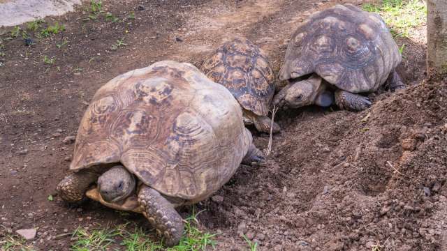 They are an invaluable tool.