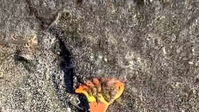 "This journey can take months to many years."