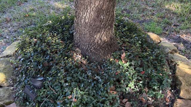 Redditors didn’t have many notes.